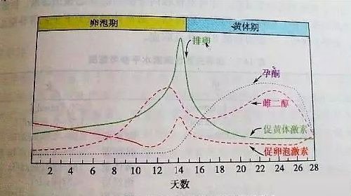 美国大学孙逸仙纪念医院（美国二院）简介地址